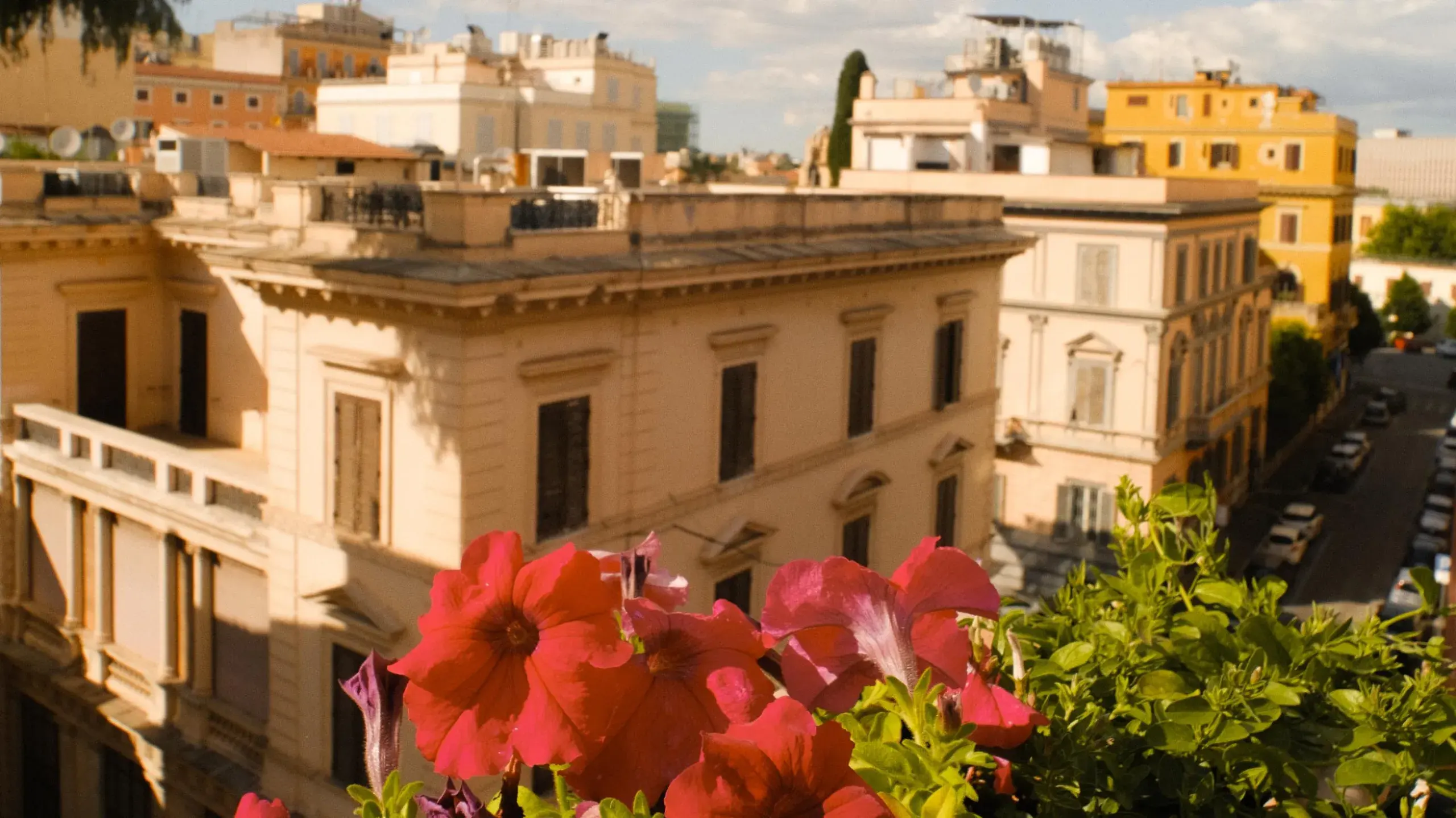 Roman rooftops seen over a window box of red petunias